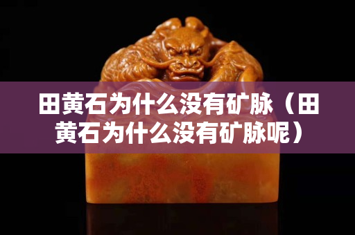 田黃石為什么沒有礦脈（田黃石為什么沒有礦脈呢）