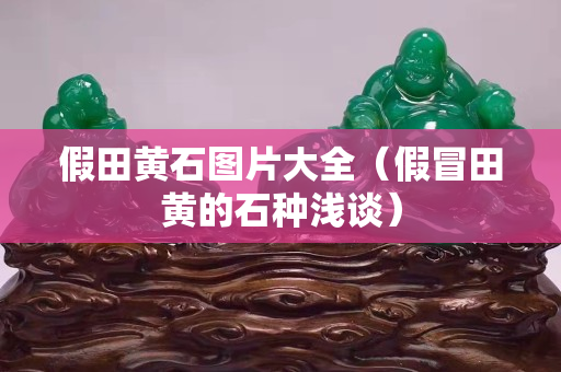 假田黃石圖片大全（假冒田黃的石種淺談）