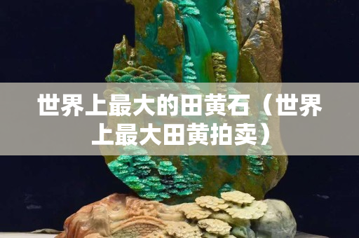 世界上最大的田黃石（世界上最大田黃拍賣）