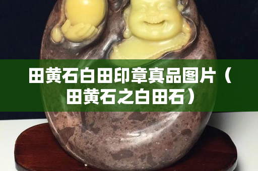 田黃石白田印章真品圖片（田黃石之白田石）