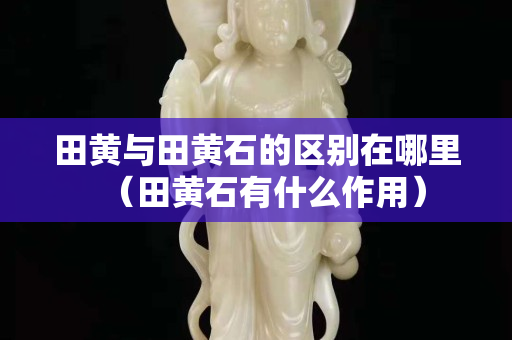 田黃與田黃石的區別在哪里（田黃石有什么作用）