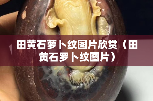 田黃石蘿卜紋圖片欣賞（田黃石羅卜紋圖片）