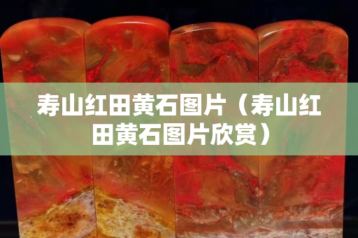 壽山紅田黃石圖片（壽山紅田黃石圖片欣賞）