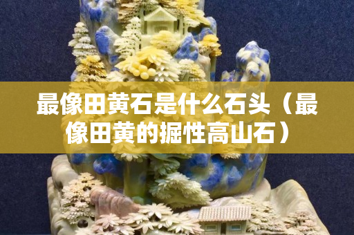 最像田黃石是什么石頭（最像田黃的掘性高山石）