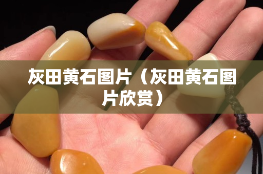 灰田黃石圖片（灰田黃石圖片欣賞）