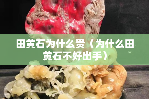 田黃石為什么貴（為什么田黃石不好出手）