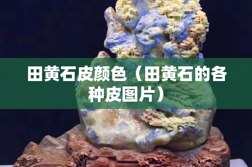 田黃石皮顏色（田黃石的各種皮圖片）