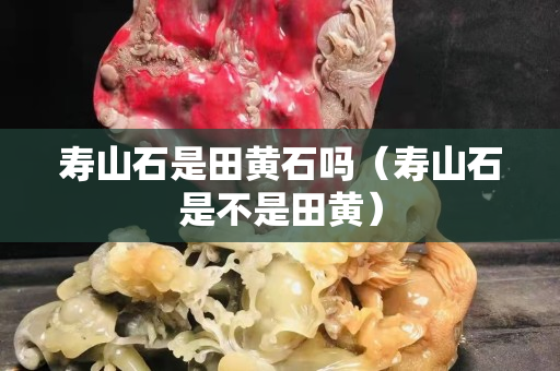 壽山石是田黃石嗎（壽山石是不是田黃）