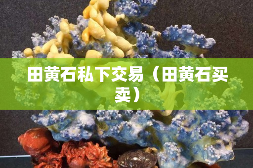 田黃石私下交易（田黃石買賣）
