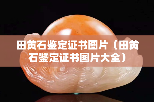 田黃石鑒定證書圖片（田黃石鑒定證書圖片大全）