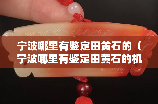 寧波哪里有鑒定田黃石的（寧波哪里有鑒定田黃石的機構）