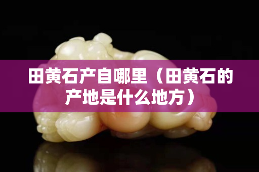 田黃石產自哪里（田黃石的產地是什么地方）