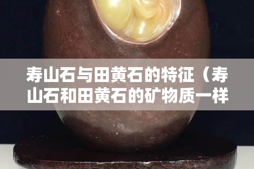壽山石與田黃石的特征（壽山石和田黃石的礦物質一樣嗎）