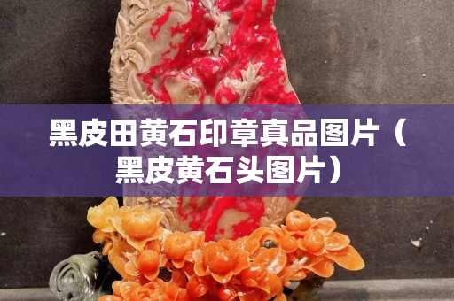 黑皮田黃石印章真品圖片（黑皮黃石頭圖片）