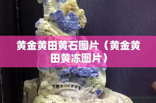 黃金黃田黃石圖片（黃金黃田黃凍圖片）