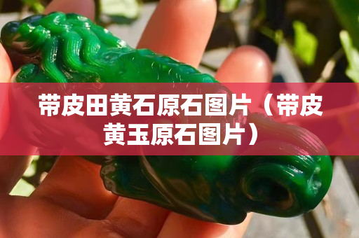 帶皮田黃石原石圖片（帶皮黃玉原石圖片）