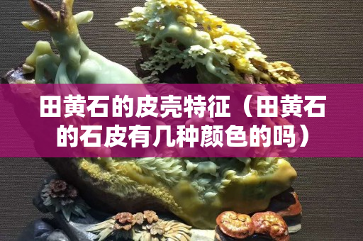 田黃石的皮殼特征（田黃石的石皮有幾種顏色的嗎）