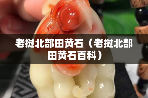 老撾北部田黃石（老撾北部田黃石百科）