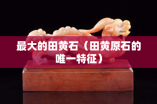 最大的田黃石（田黃原石的唯一特征）
