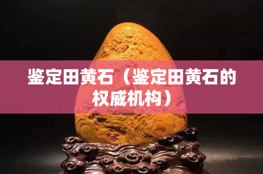 鑒定田黃石（鑒定田黃石的權威機構）