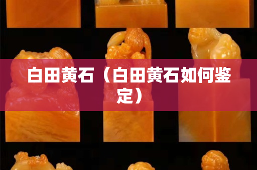 白田黃石（白田黃石如何鑒定）