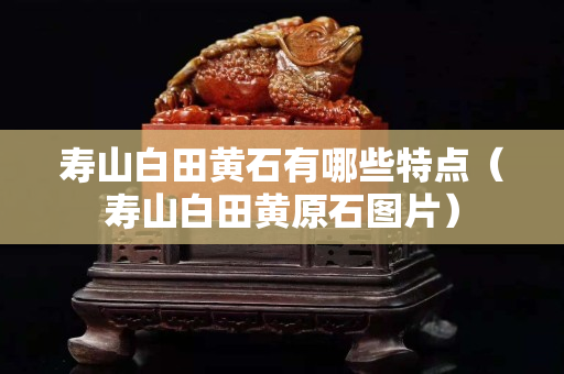 壽山白田黃石有哪些特點（壽山白田黃原石圖片）