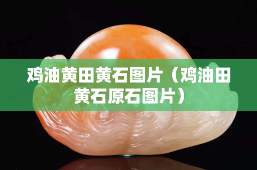 雞油黃田黃石圖片（雞油田黃石原石圖片）