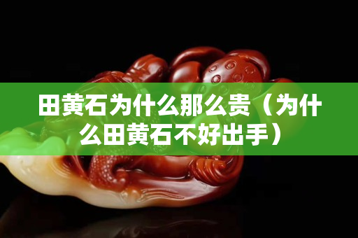 田黃石為什么那么貴（為什么田黃石不好出手）