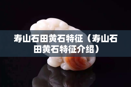 壽山石田黃石特征（壽山石田黃石特征介紹）