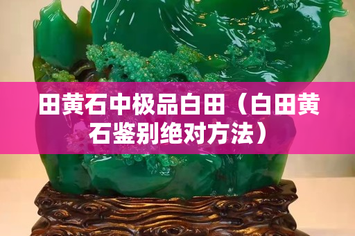 田黃石中極品白田（白田黃石鑒別絕對方法）