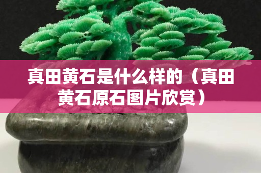 真田黃石是什么樣的（真田黃石原石圖片欣賞）