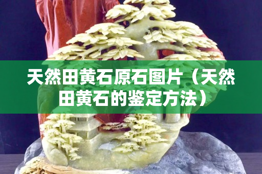 天然田黃石原石圖片（天然田黃石的鑒定方法）