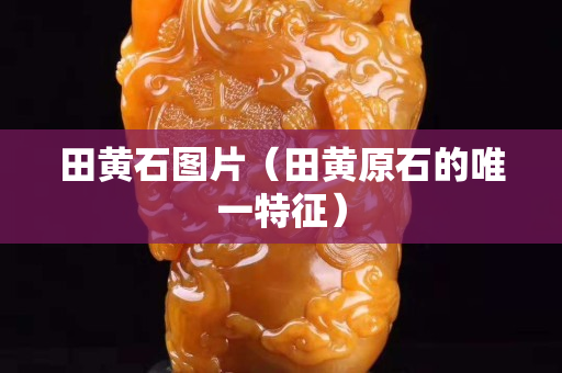 田黃石圖片（田黃原石的唯一特征）