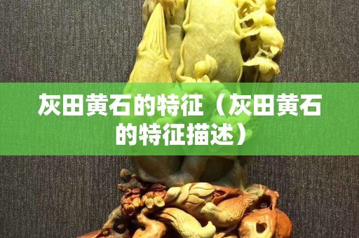 灰田黃石的特征（灰田黃石的特征描述）