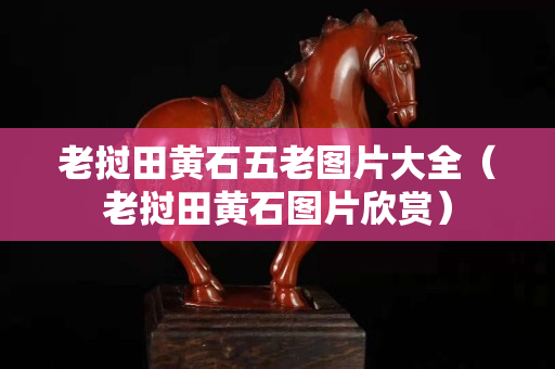 老撾田黃石五老圖片大全（老撾田黃石圖片欣賞）