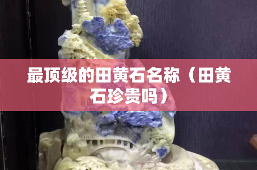 最頂級的田黃石名稱（田黃石珍貴嗎）
