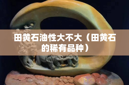田黃石油性大不大（田黃石的稀有品種）