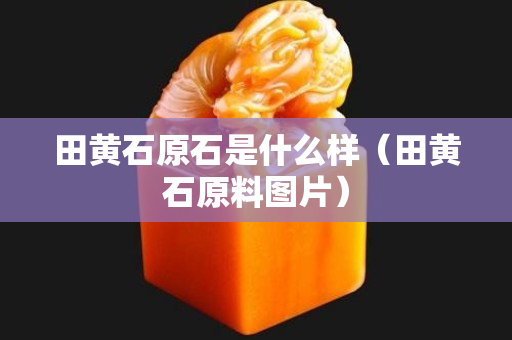 田黃石原石是什么樣（田黃石原料圖片）