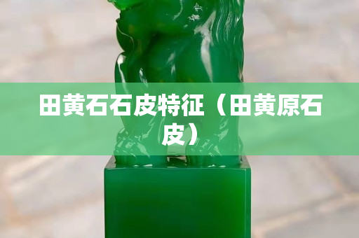 田黃石石皮特征（田黃原石皮）
