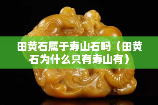 田黃石屬于壽山石嗎（田黃石為什么只有壽山有）