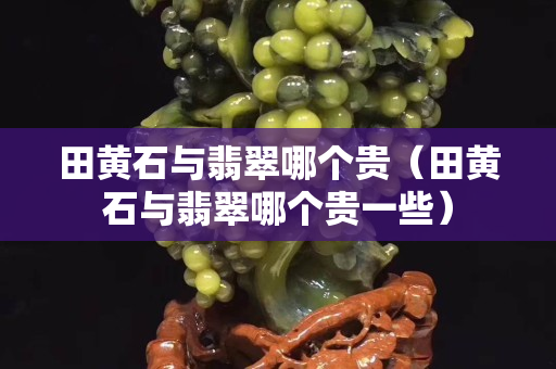 田黃石與翡翠哪個貴（田黃石與翡翠哪個貴一些）