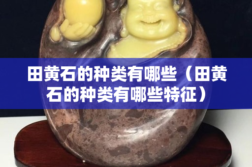 田黃石的種類有哪些（田黃石的種類有哪些特征）