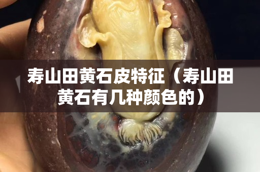 壽山田黃石皮特征（壽山田黃石有幾種顏色的）