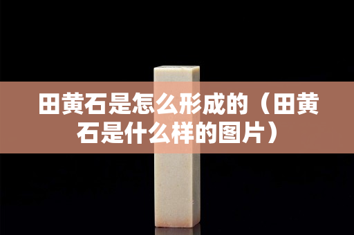 田黃石是怎么形成的（田黃石是什么樣的圖片）