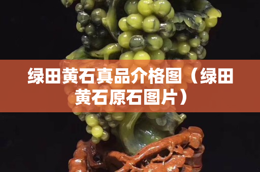 綠田黃石真品介格圖（綠田黃石原石圖片）