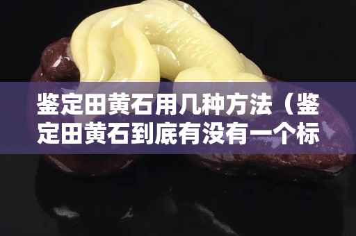 鑒定田黃石用幾種方法（鑒定田黃石到底有沒有一個標準）
