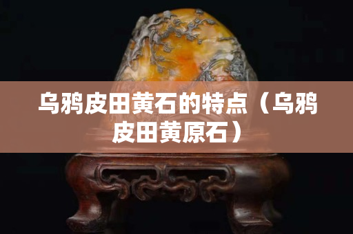 烏鴉皮田黃石的特點（烏鴉皮田黃原石）