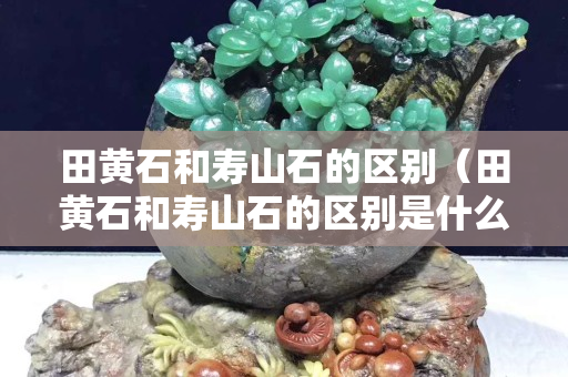田黃石和壽山石的區(qū)別（田黃石和壽山石的區(qū)別是什么）