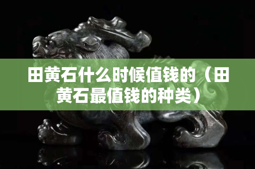 田黃石什么時候值錢的（田黃石最值錢的種類）