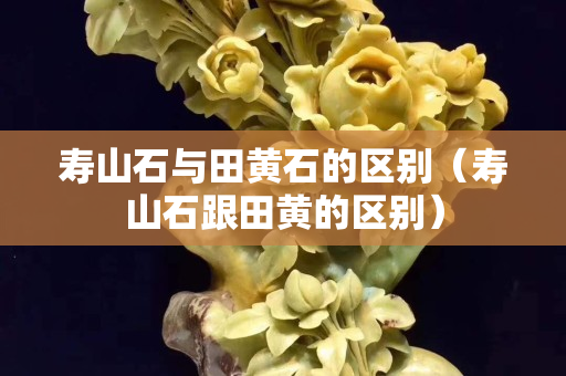 壽山石與田黃石的區別（壽山石跟田黃的區別）